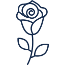 rose